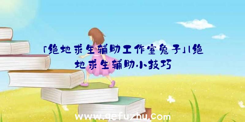 「绝地求生辅助工作室兔子」|绝地求生辅助小技巧